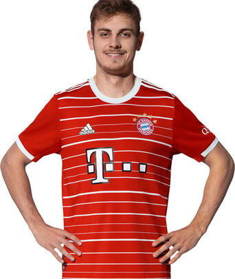 Profilbild von Josip Stanisic