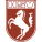 Wappen: Hammer SpVgg